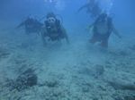 Hawaii Scuba divng 31