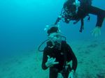 Hawaii Scuba divng 14