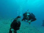 Hawaii Scuba divng 15