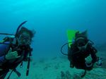 Hawaii Scuba divng 20