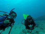 Hawaii Scuba divng 21