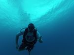 Hawaii Scuba divng 10