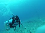 Hawaii Scuba divng 13