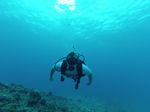 Hawaii Scuba divng 14