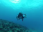 Hawaii Scuba divng 15