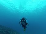 Hawaii Scuba divng 17