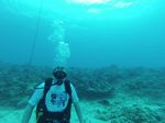 Hawaii Scuba divng 01