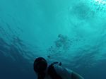 Hawaii Scuba divng 22