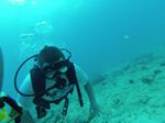 Hawaii Scuba divng 23