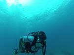 Hawaii Scuba divng 24