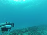 Hawaii Scuba divng 28