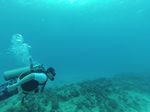 Hawaii Scuba divng 29