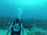 Hawaii Scuba divng 02