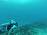 Hawaii Scuba divng 30