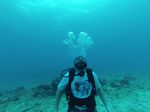 Hawaii Scuba divng 32