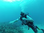 Hawaii Scuba divng 03