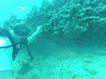 Hawaii Scuba divng 40