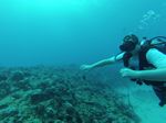 Hawaii Scuba divng 04