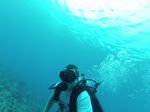 Hawaii Scuba divng 06