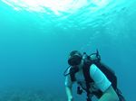 Hawaii Scuba divng 07