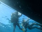 Hawaii Scuba divng 13