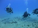 Hawaii Scuba divng 17