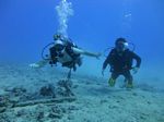 Hawaii Scuba divng 18