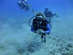 Hawaii Scuba divng 19