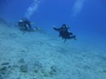 Hawaii Scuba divng 20