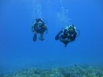 Hawaii Scuba divng 22