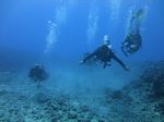 Hawaii Scuba divng 25