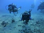 Hawaii Scuba divng 28