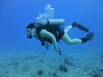 Hawaii Scuba divng 30