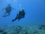 Hawaii Scuba divng 36