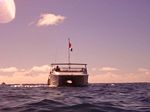 Hawaii Scuba divng 04