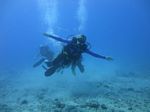 Hawaii Scuba divng 63