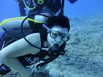 Hawaii Scuba divng 64