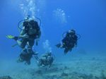 Hawaii Scuba divng 65