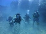 Hawaii Scuba divng 74