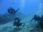 Hawaii Scuba divng 75