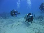 Hawaii Scuba divng 77