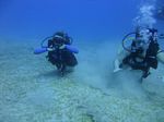 Hawaii Scuba divng 78