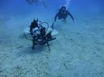 Hawaii Scuba divng 79