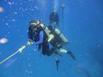 Hawaii Scuba divng 85