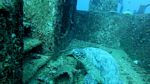 Hawaii scuba 02