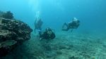 Hawaii scuba 42