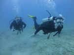 Hawaii Scuba divng 20