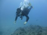 Hawaii Scuba divng 26