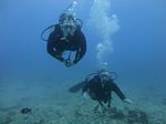 Hawaii Scuba divng 27