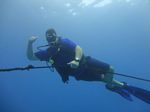 Hawaii Scuba divng 04